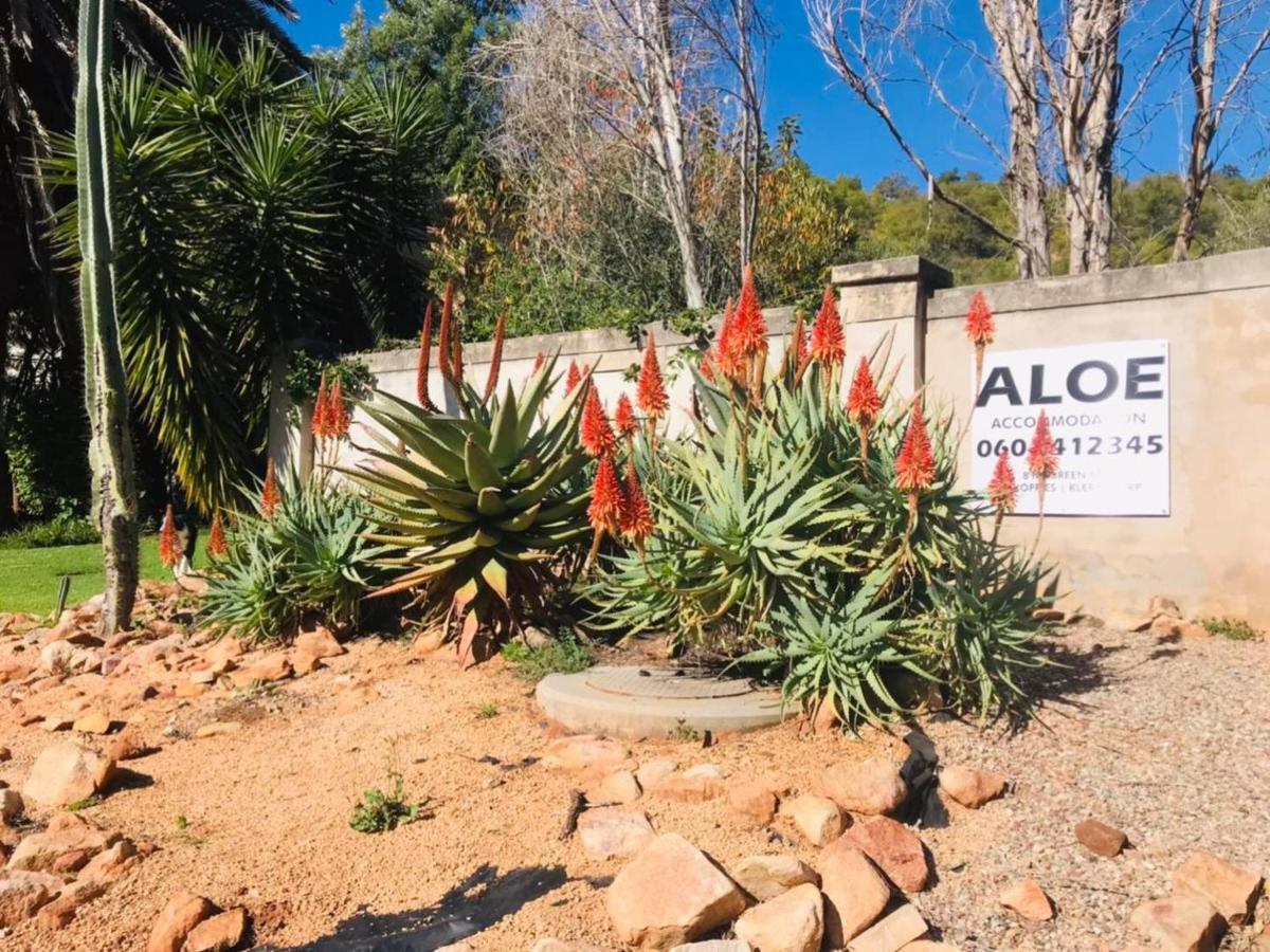 Aloe Guesthouse Klerksdorp Exteriör bild
