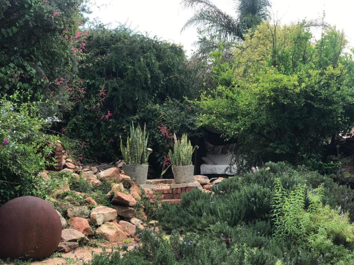 Aloe Guesthouse Klerksdorp Exteriör bild