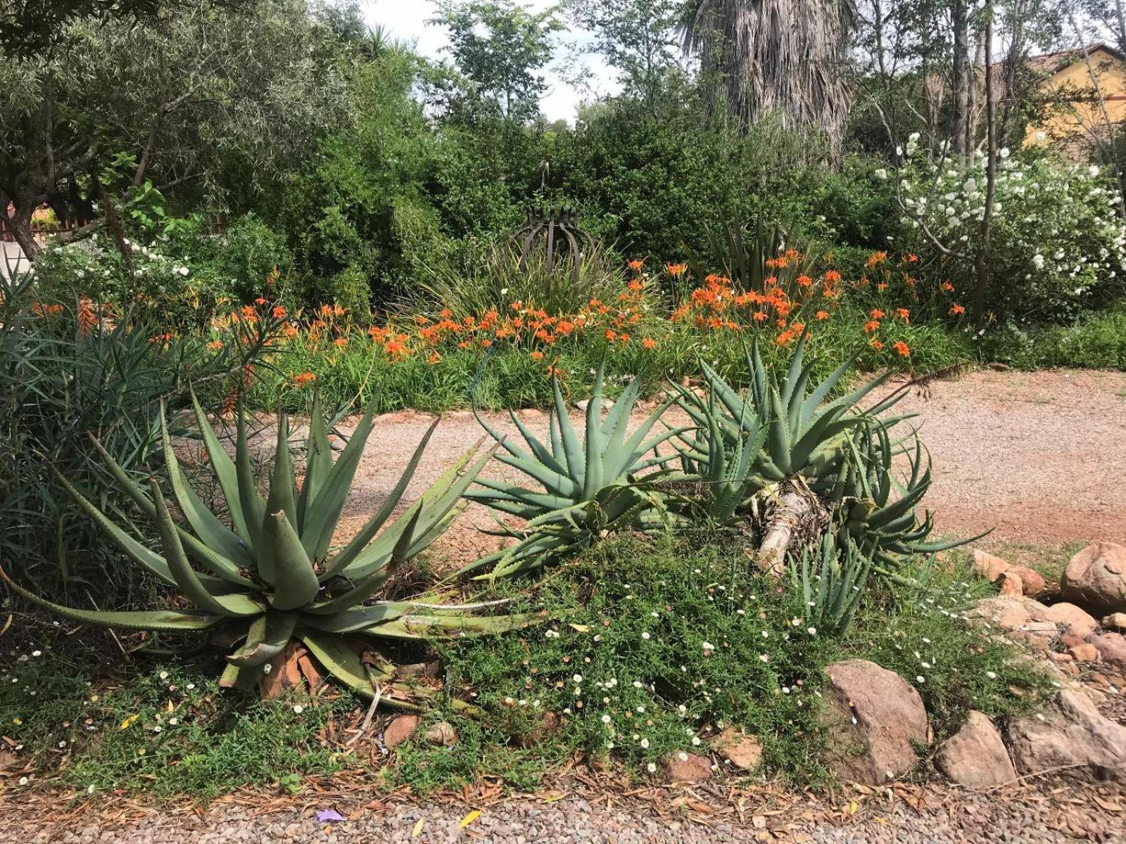 Aloe Guesthouse Klerksdorp Exteriör bild