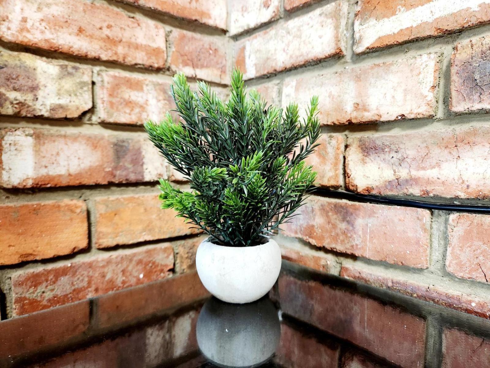 Aloe Guesthouse Klerksdorp Rum bild